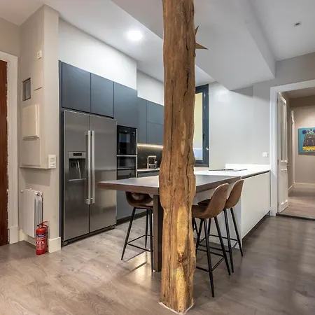 Aston - Amplio Y Centrico Bilbao